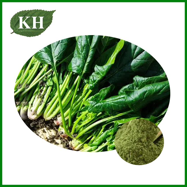 Spinach Powder Spinach Powder